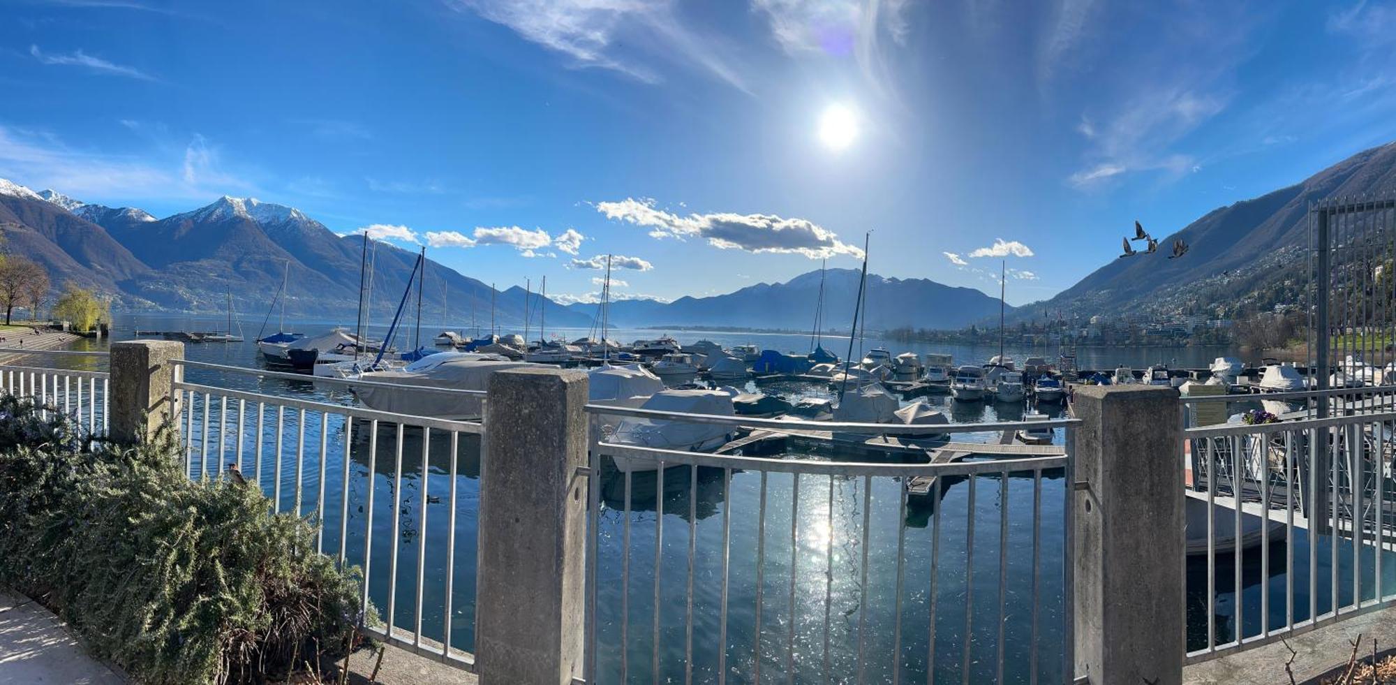 Moderno Bilocale Vista Lago Maggiore Gordola Exteriör bild